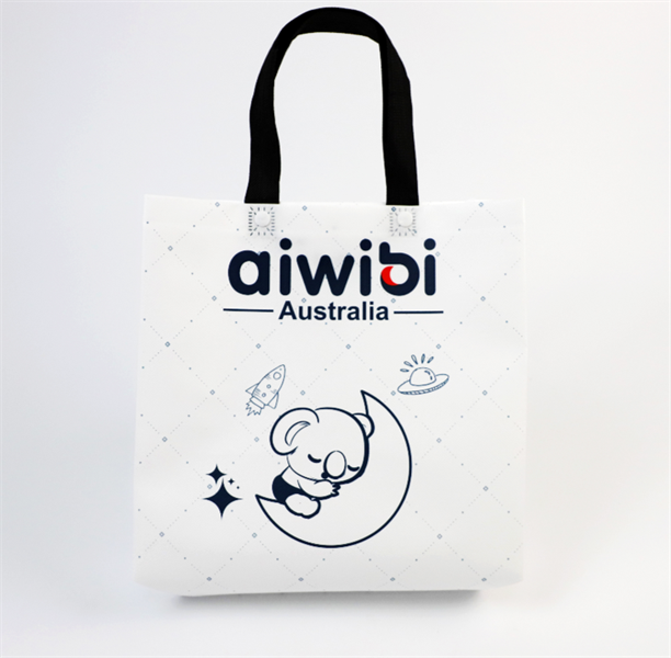 Túi vải không dệt Aiwibi, kích thước 36x13x40cm